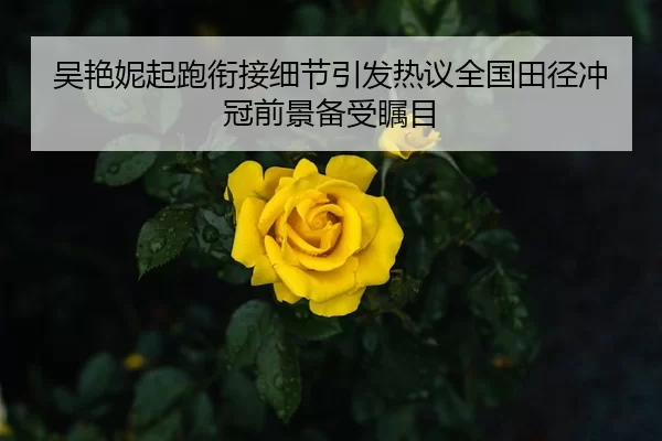 吴艳妮起跑衔接细节引发热议全国田径冲冠前景备受瞩目