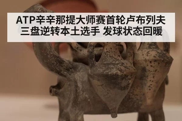 ATP辛辛那提大师赛首轮卢布列夫三盘逆转本土选手 发球状态回暖