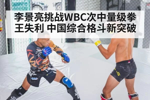 李景亮挑战WBC次中量级拳王失利 中国综合格斗新突破